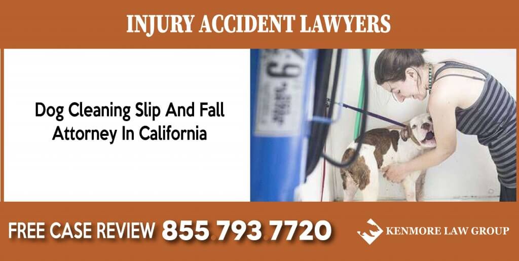 Dog Cleaning Slip And Fall Attorney In California incident lawyer attorney law firm compensation liability